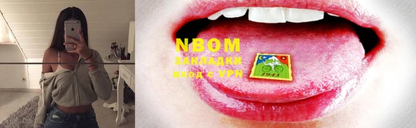 прущие грибы Белоозёрский