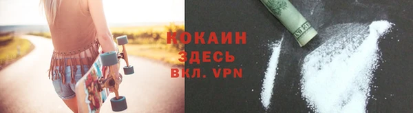 прущие грибы Белоозёрский