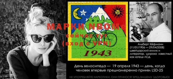 прущие грибы Белоозёрский