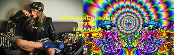 прущие грибы Белоозёрский