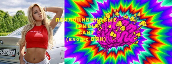 прущие грибы Белоозёрский