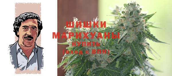 прущие грибы Белоозёрский