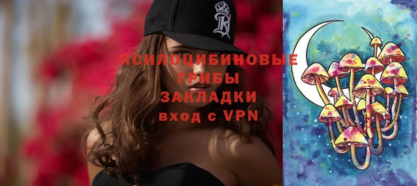 прущие грибы Белоозёрский