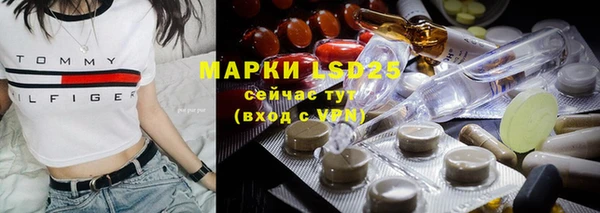 прущие грибы Белоозёрский