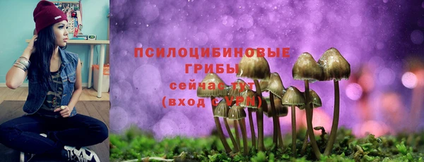 синтетический гашиш Белокуриха