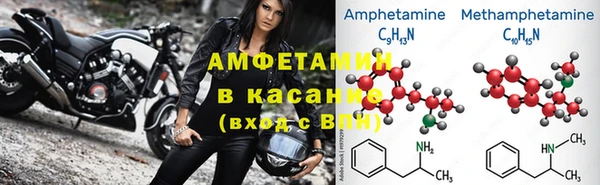 прущие грибы Белоозёрский