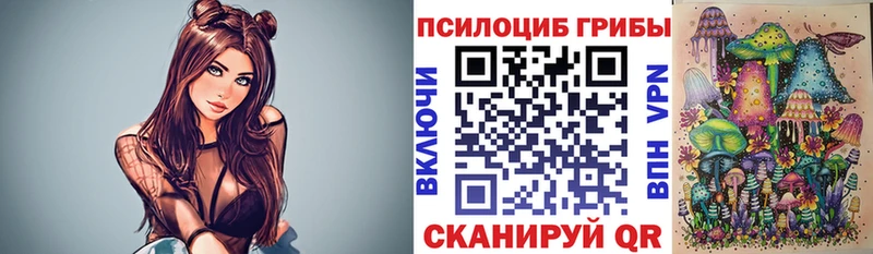 где купить   Вуктыл  Псилоцибиновые грибы ЛСД 